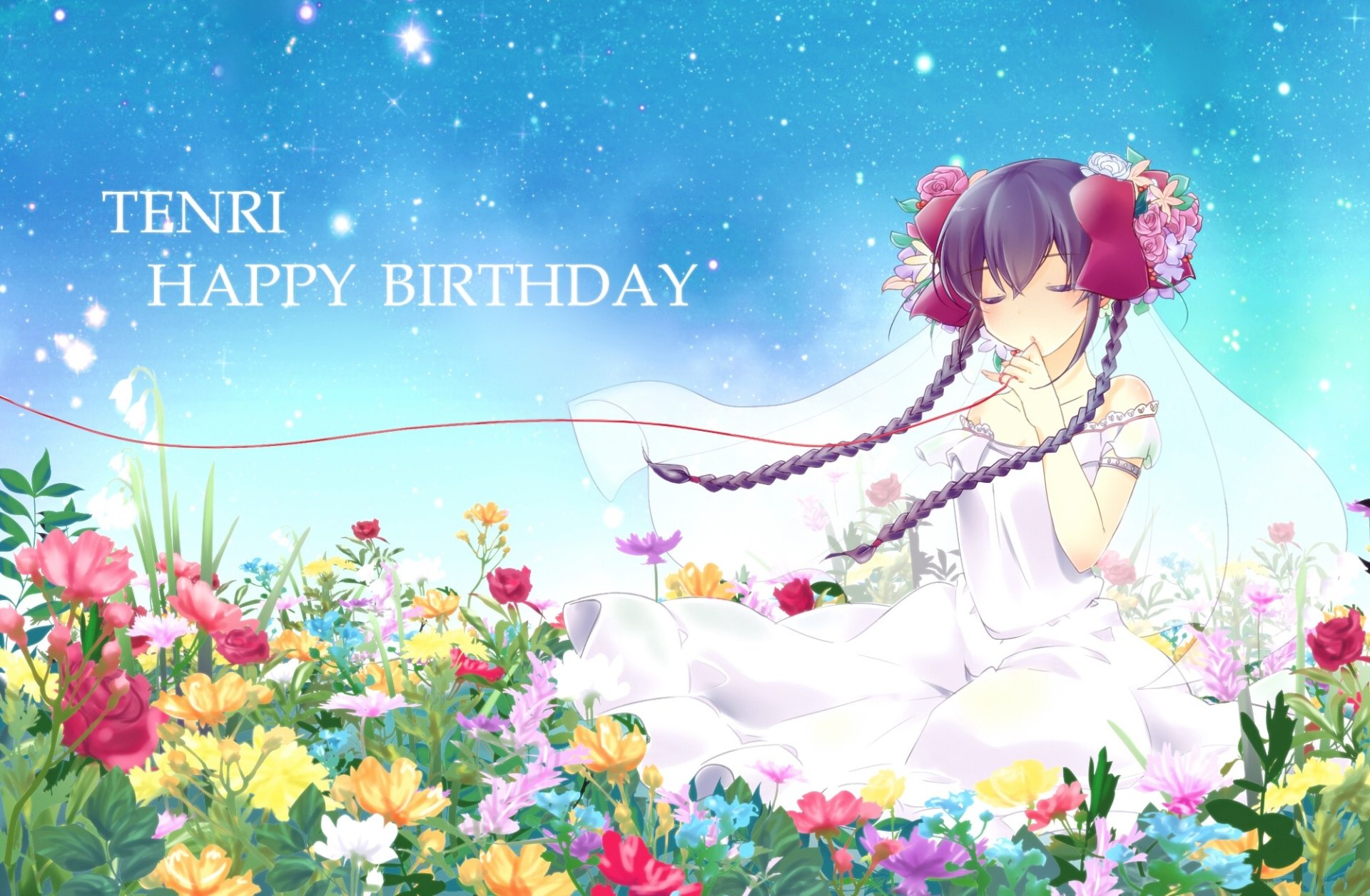 HD PC desktop wallpaper featuring Tenri from the anime The World God Only Knows, surrounded by colorful flowers with a bright, starry sky background and birthday message.