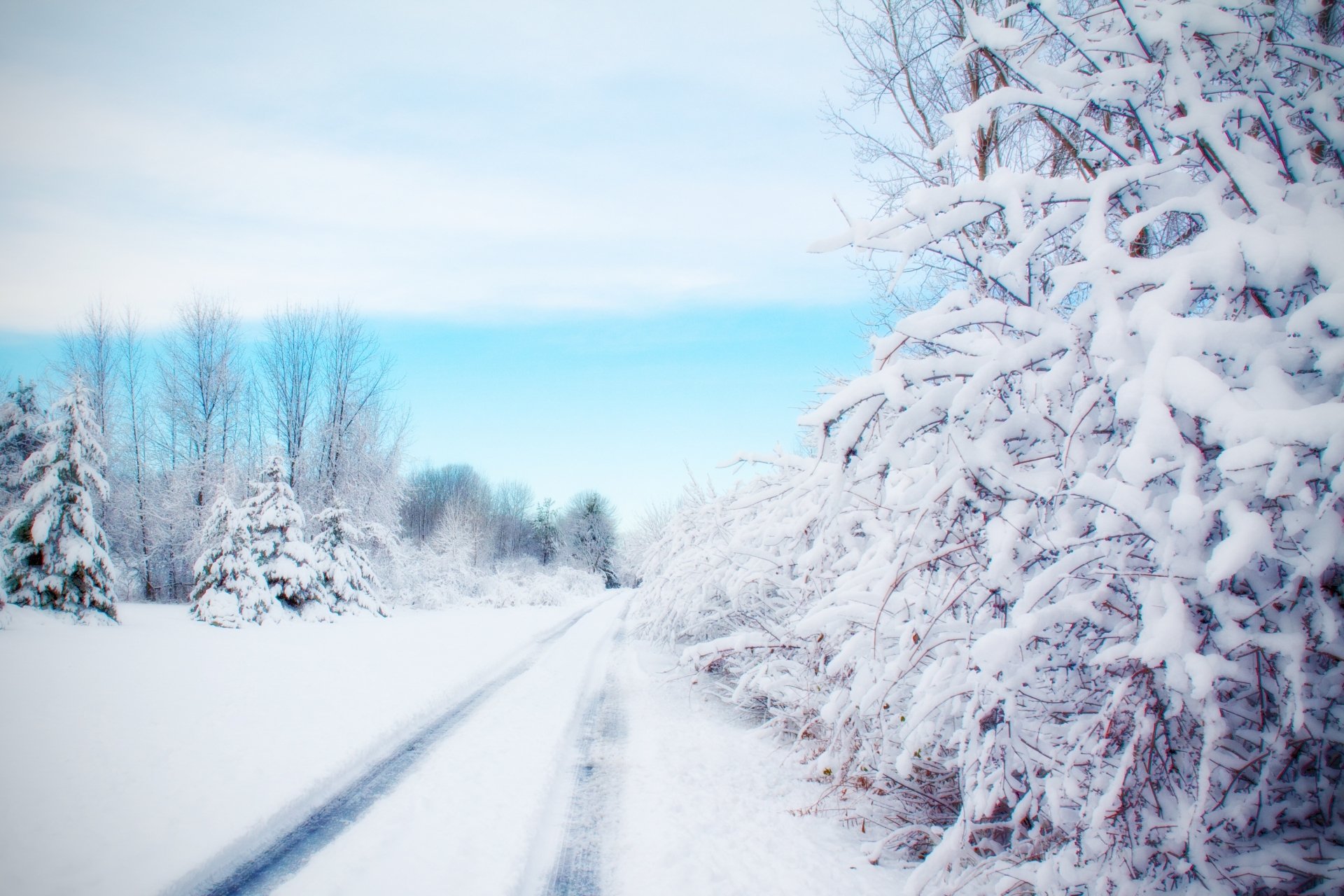 Download Tree Snow Road Nature Winter HD Wallpaper | 3597x2398 ...