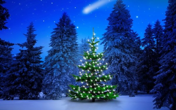 4100+ Kerstmis HD Wallpapers | Achtergronden