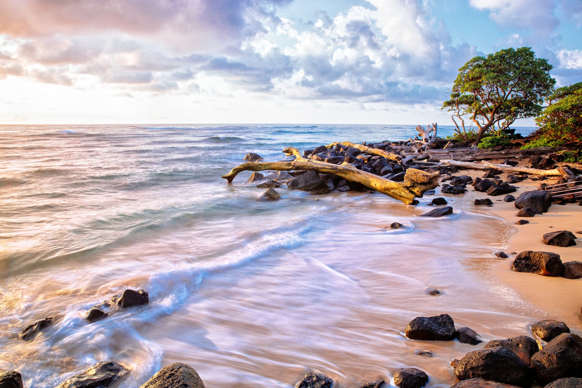 HD PC desktop wallpaper: driftwood-strewn beach and rocky shore, ocean waves meeting the horizon under a sunlit sky, a lone coastal tree in a tranquil nature scene.
