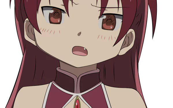 Kyōko Sakura Anime Puella Magi Madoka Magica HD Desktop Wallpaper | Background Image