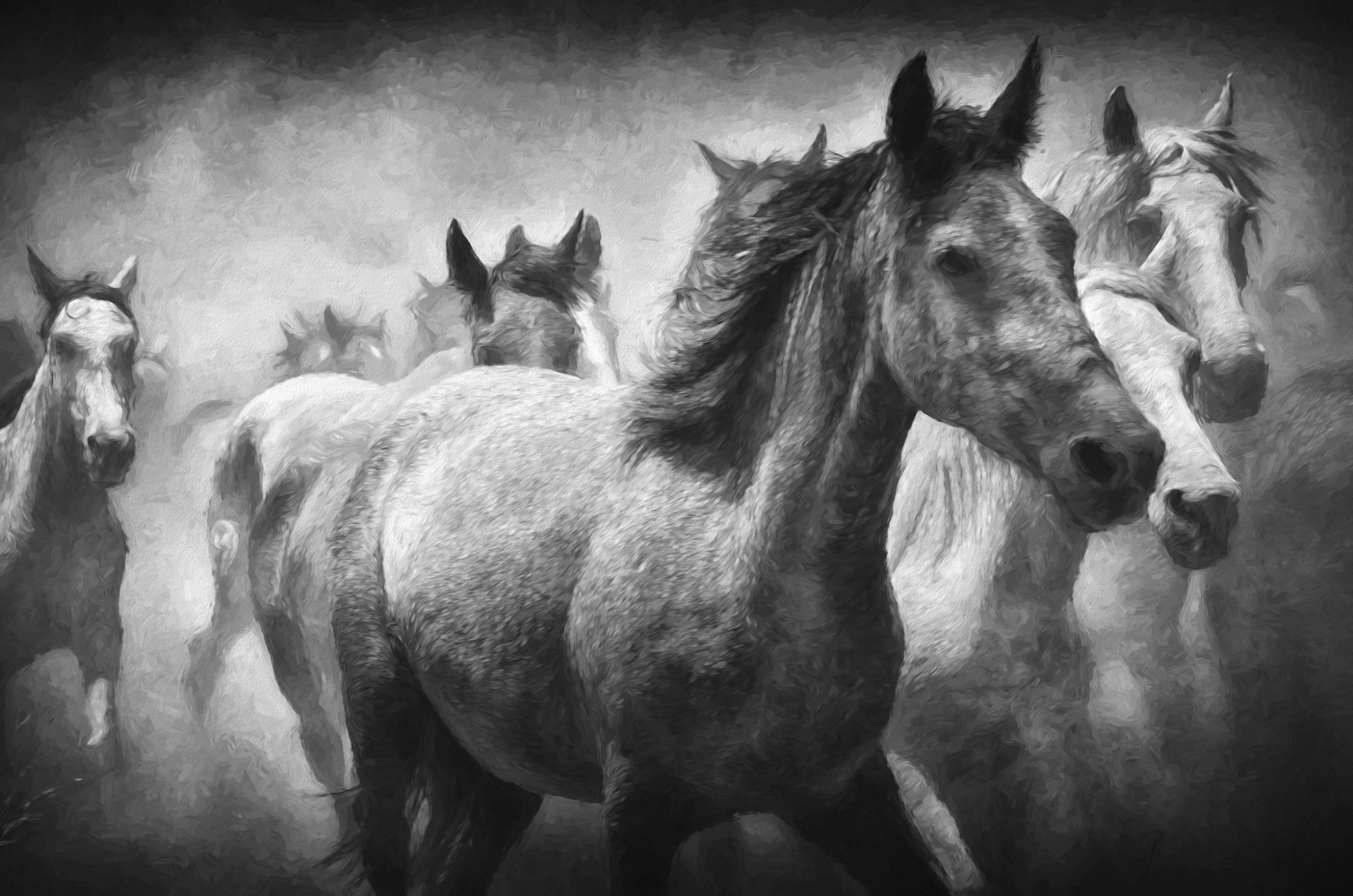 Black-and-white oil painting of a herd of horses running through mist, textured brushstrokes and motion — HD PC desktop wallpaper background.