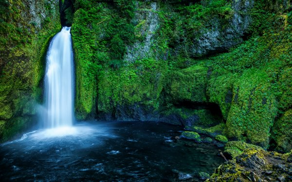 Earth Waterfall Waterfalls Green Moss HD Wallpaper | Background Image