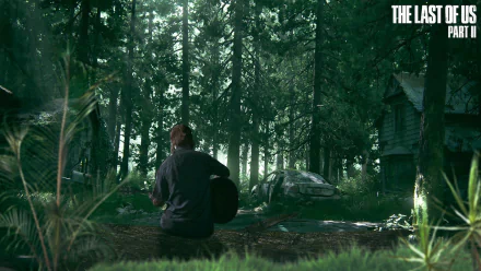 HD desktop wallpaper featuring Ellie from The Last of Us Part II, sitting in a forest clearing, playing a guitar, with atmospheric lighting and dense trees in the background.