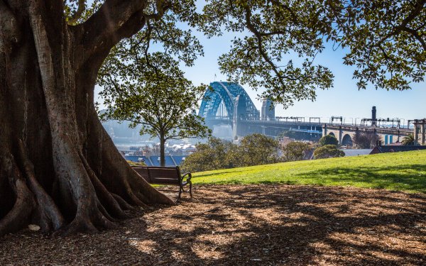 Man Made Sydney Cities Australia Sydney Harbour Bridge Tree Bench City Architecture HD Wallpaper | Background Image