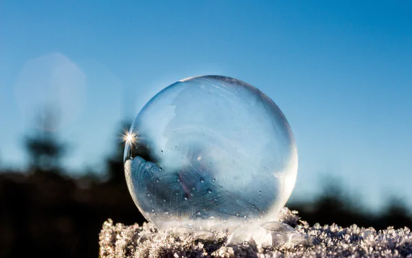 frozen close-up photography bubble HD Desktop Wallpaper | Background Image