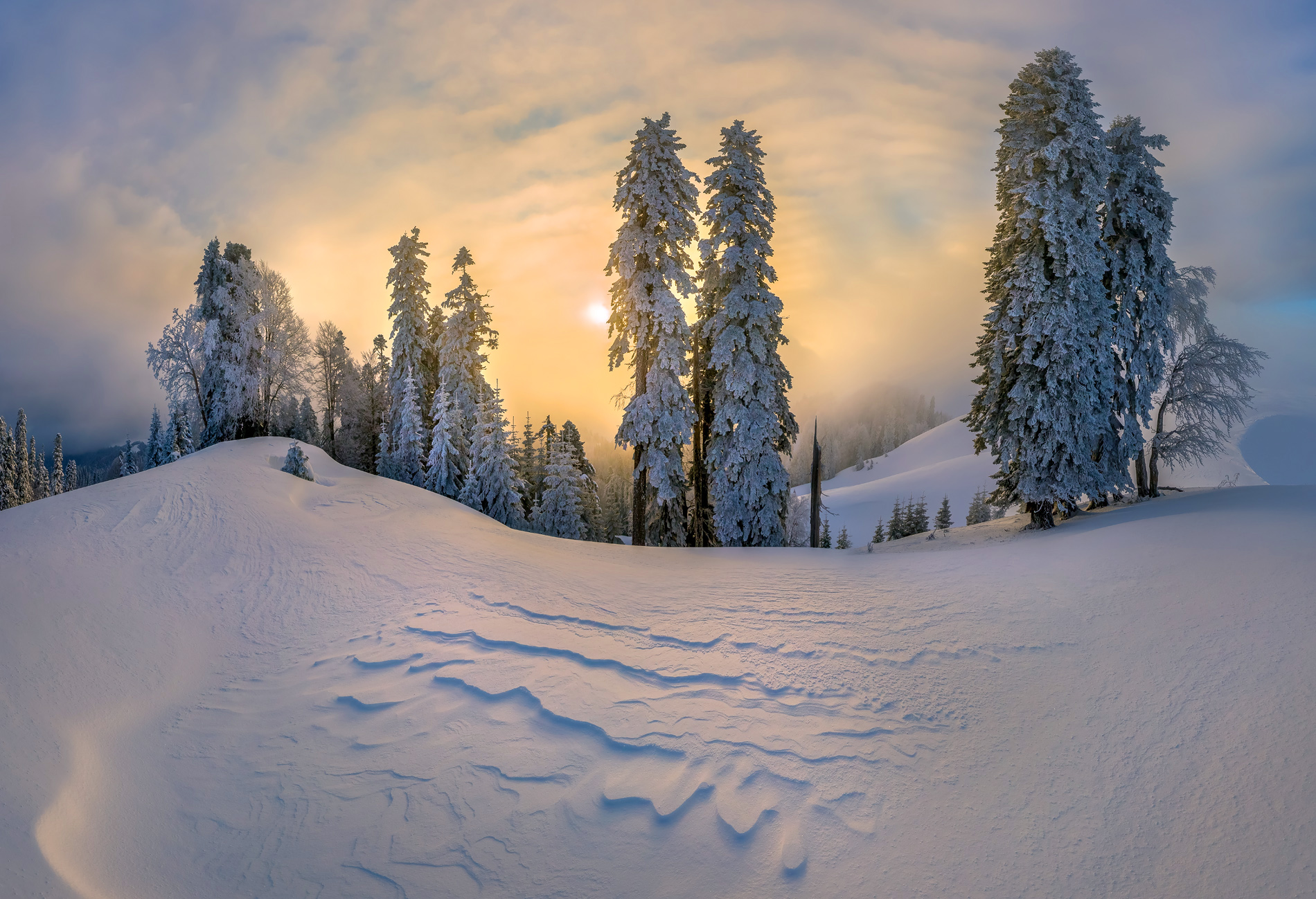 Download Cloud Sunset Snow Forest Tree Nature Winter Wallpaper by Федор ...