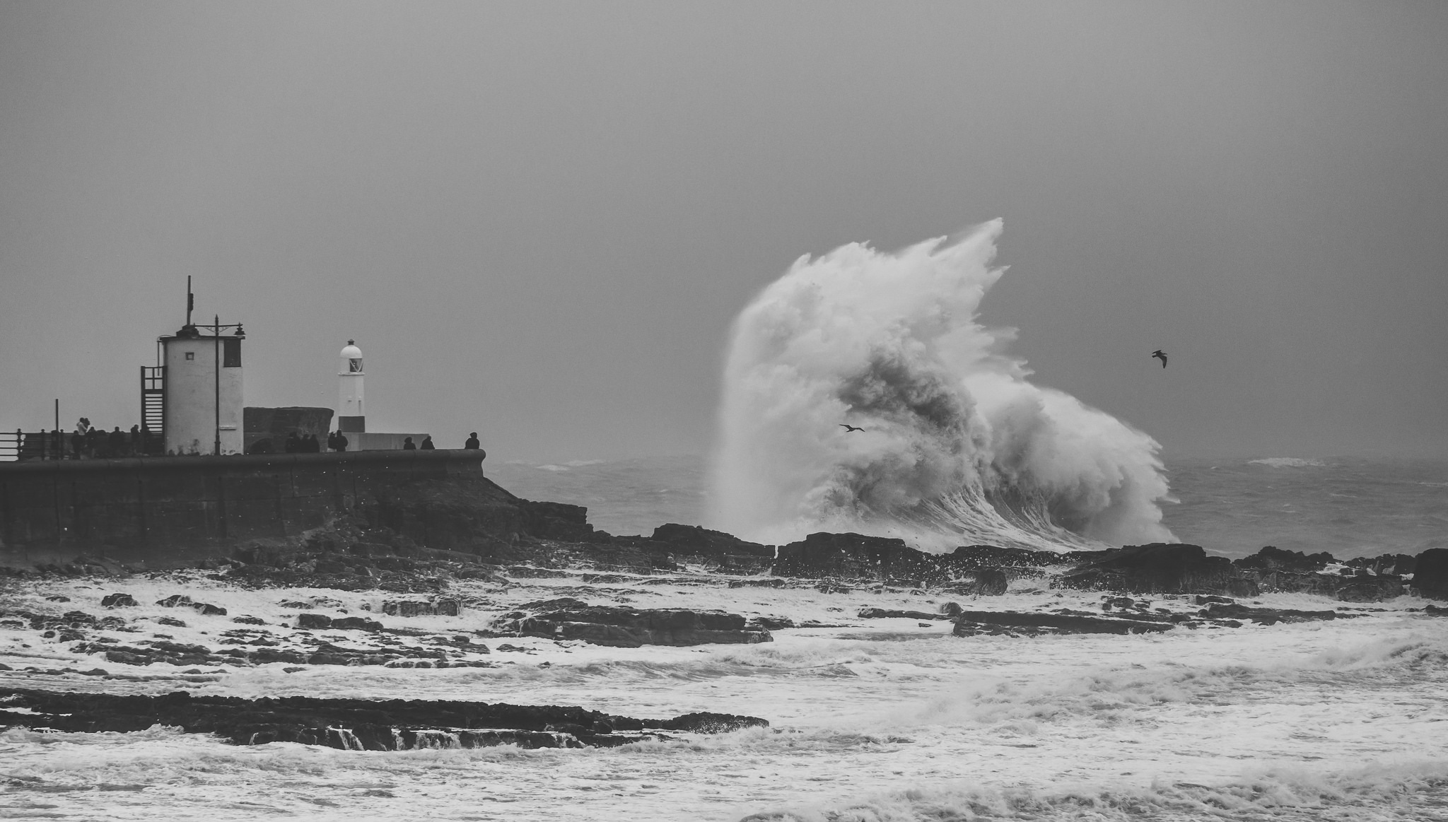 гриценко "море бушует". море волнуется. красное море ссср. русский язык 7 класс ладыженская 258. море взволновано или взволнованно.
