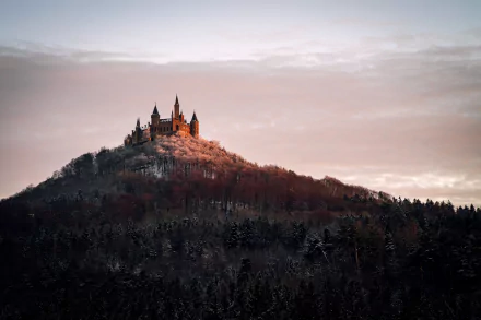 forest hill Germany castle man made Hohenzollern Castle HD Desktop Wallpaper | Background Image
