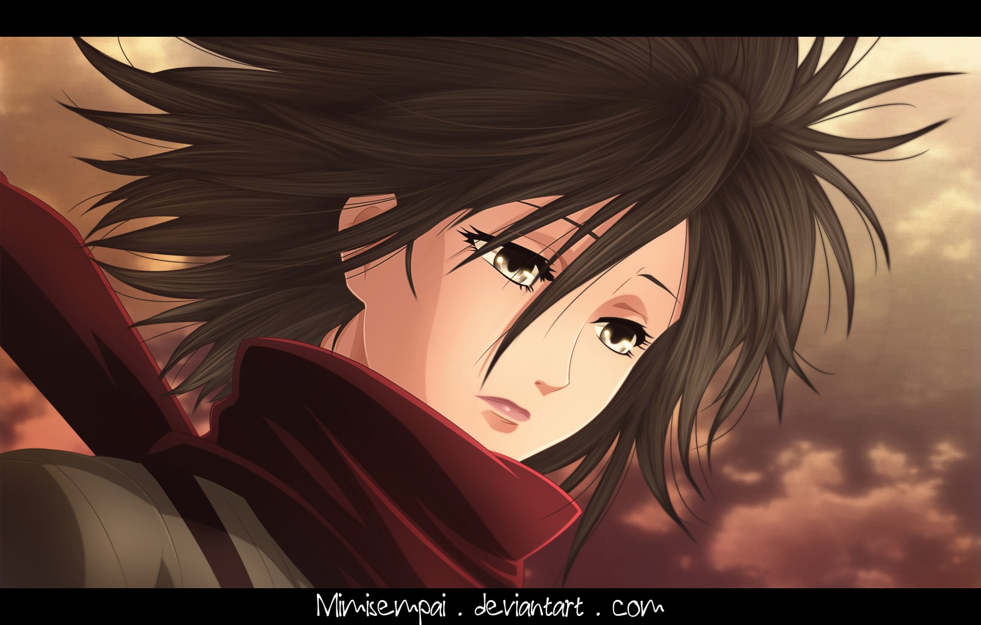 HD anime desktop wallpaper featuring Mikasa Ackerman from Attack on Titan with windswept hair and a determined expression against a cloudy sky background.