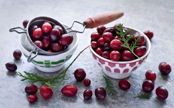 still life food cranberry HD Desktop Wallpaper | Background Image