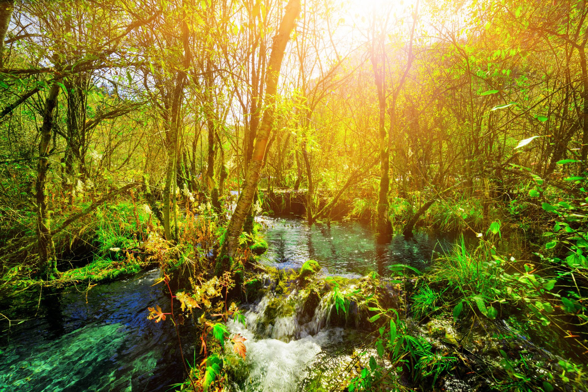 Download Sunny Nature Stream 4k Ultra HD Wallpaper