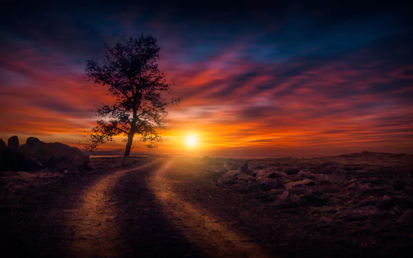 4K Ultra HD desktop wallpaper featuring a winding dirt road, a lone tree, and a vibrant sunset sky showcasing nature’s beauty.