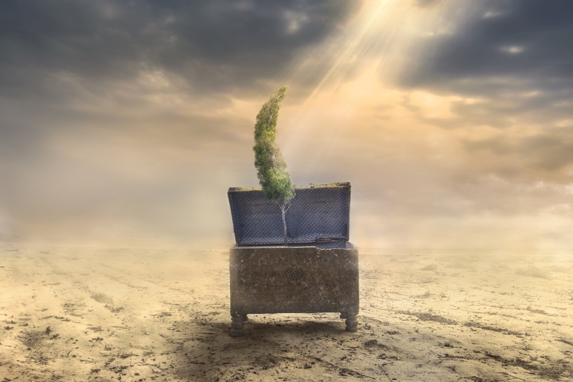 HD PC desktop wallpaper: artistic desert scene — treasure chest in sand on the horizon with a small tree sprouting from it, bathed in a sunbeam breaking through cloudy sky.