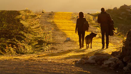 TV Show Emerald City HD Desktop Wallpaper | Background Image