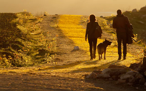 TV Show Emerald City HD Desktop Wallpaper | Background Image