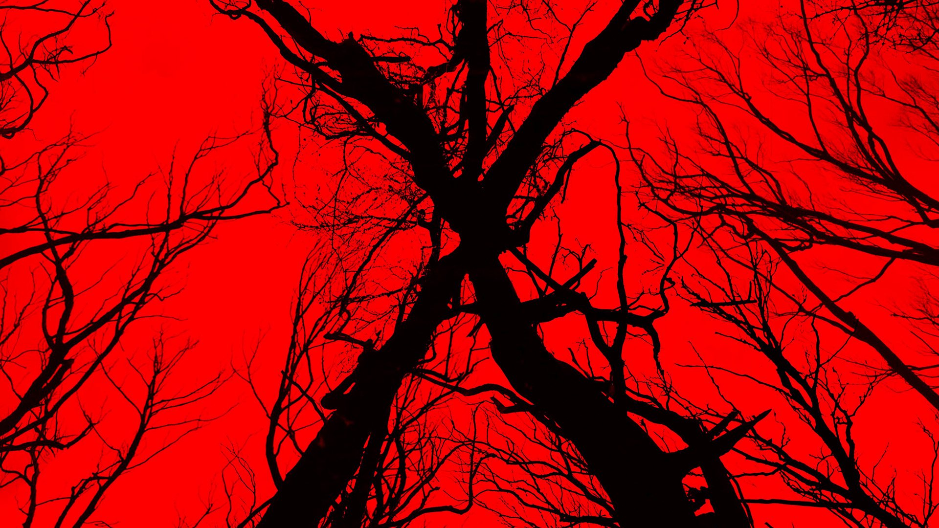 10 Blair Witch Hd Wallpapers Background Images 6587