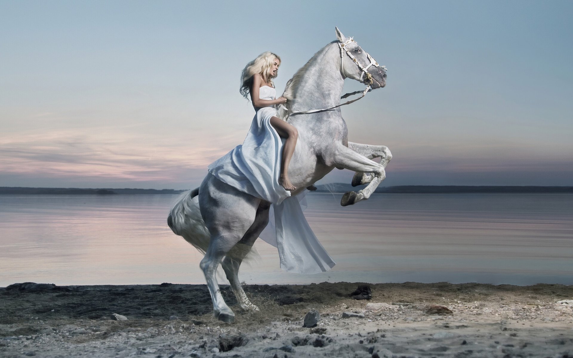 cute little girl is touching white horse wearing white red 