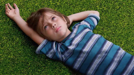 movie Boyhood HD Desktop Wallpaper | Background Image