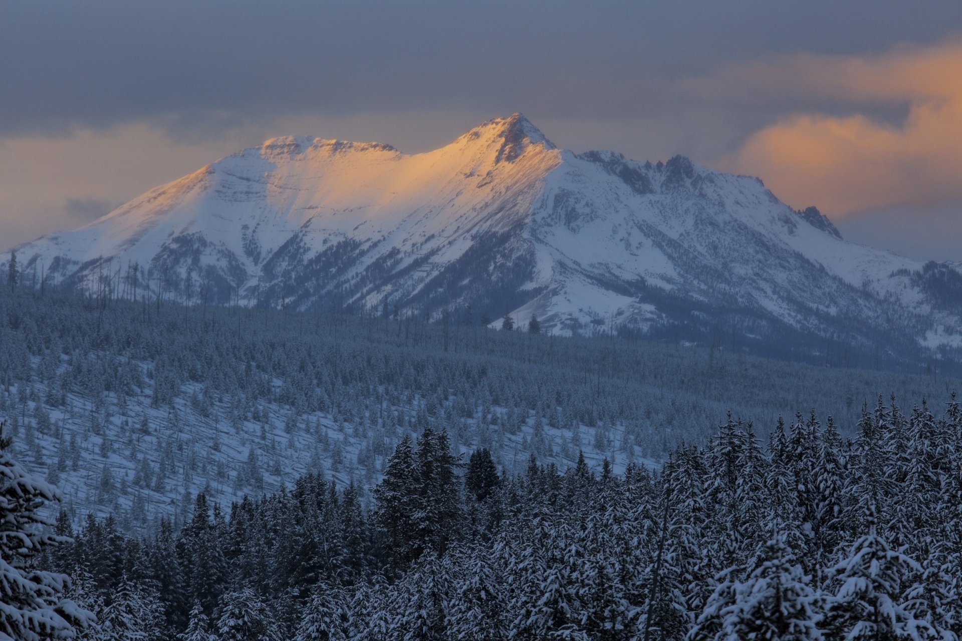 Yellowstone Winter Dusk HD Wallpaper