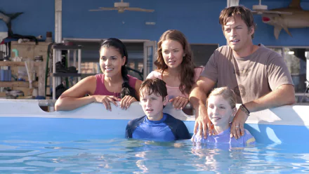 movie Dolphin Tale HD Desktop Wallpaper | Background Image
