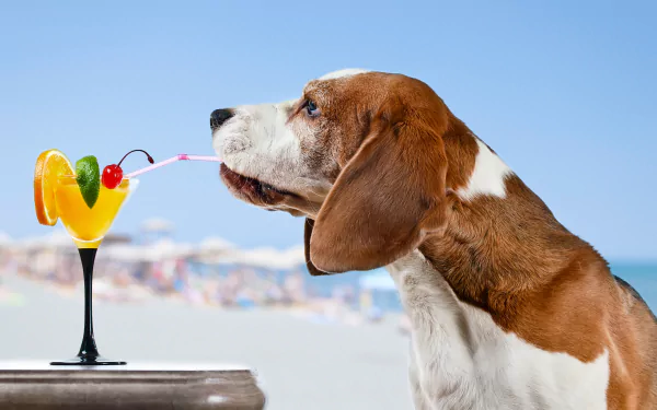 Basset hound muzzle sipping a beach cocktail through a straw, animal portrait with shallow depth of field — vibrant 5K Ultra HD desktop wallpaper/background.