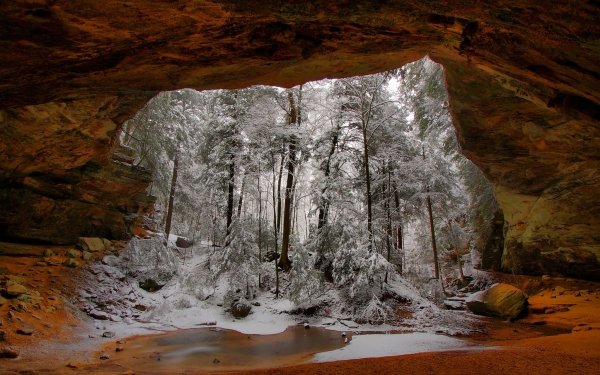 Earth Cave Caves Nature Winter Tree HD Wallpaper | Background Image