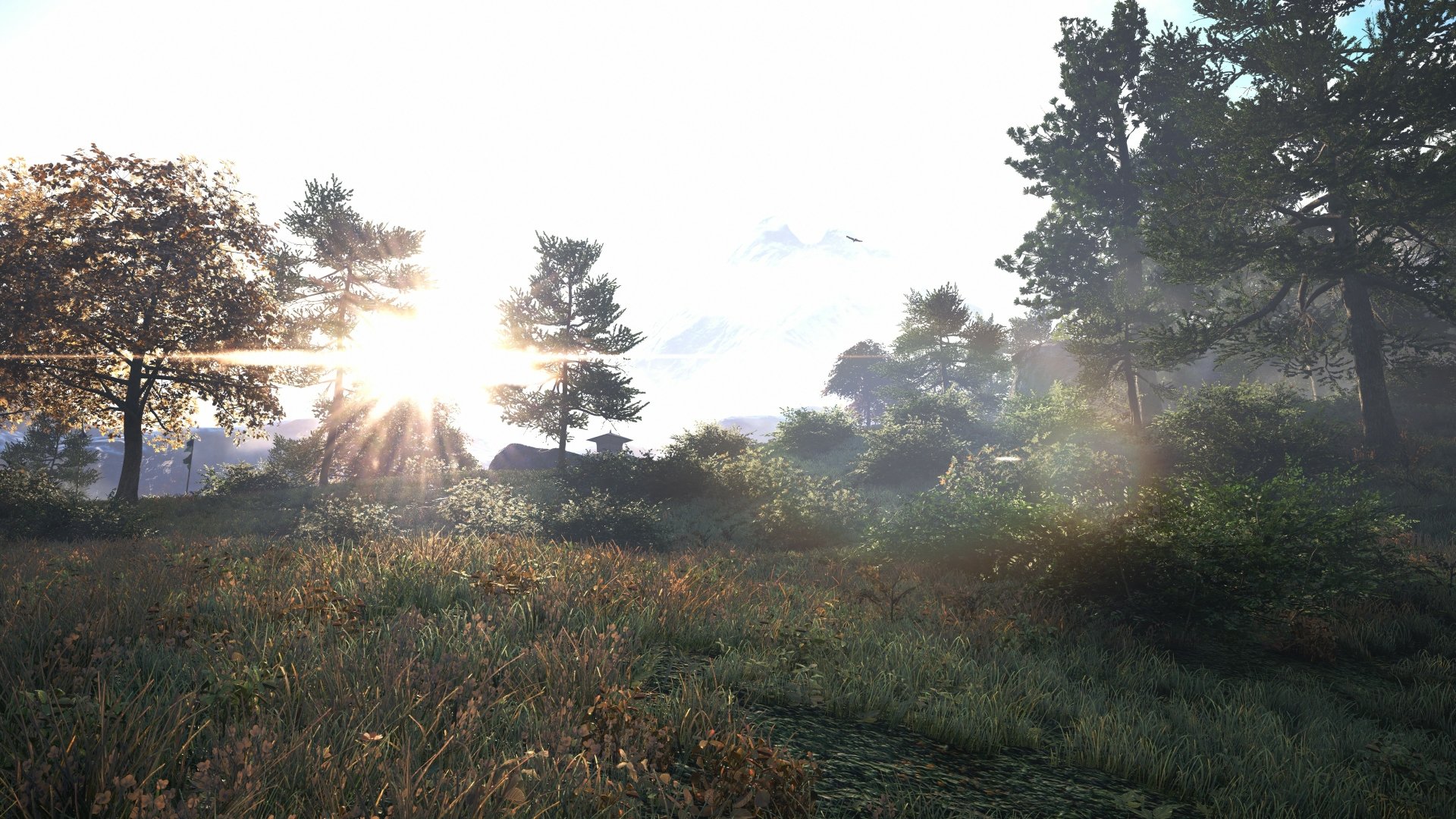Download Video Game Far Cry 4 4k Ultra HD Wallpaper by #BlackWolf