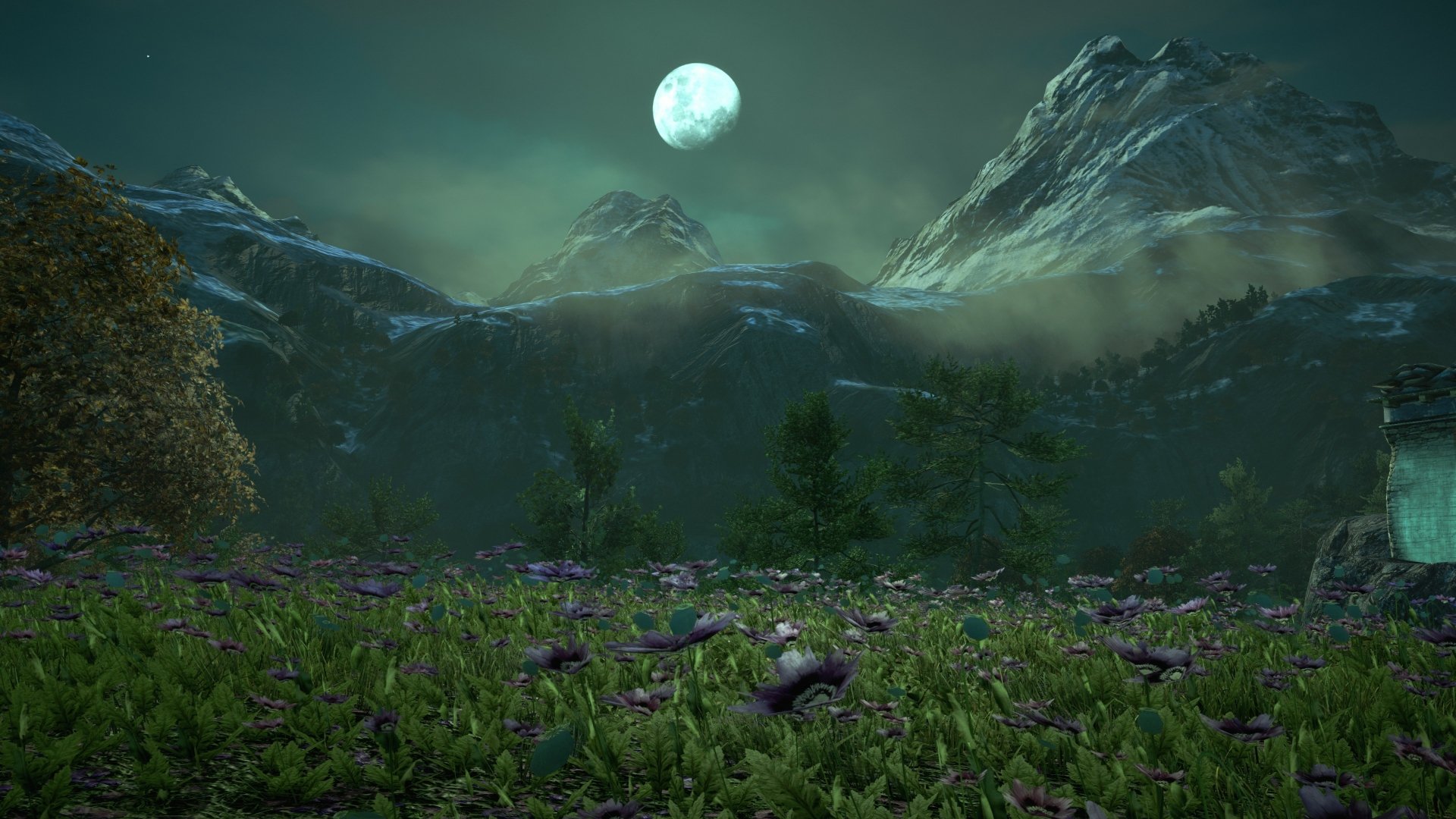 A 4K Ultra HD Far Cry 4 desktop wallpaper showing a moonlit mountain landscape with a field of purple flowers in the foreground.