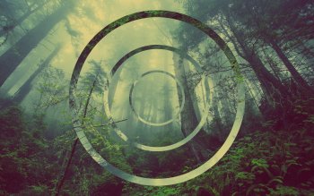 2 Electric HD Wallpapers | Backgrounds - Wallpaper Abyss