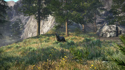 4K Ultra HD PC desktop wallpaper from the video game Far Cry 4 showing a lone wolf in a sunlit grassy clearing with trees and rocky mountain cliffs in the background.