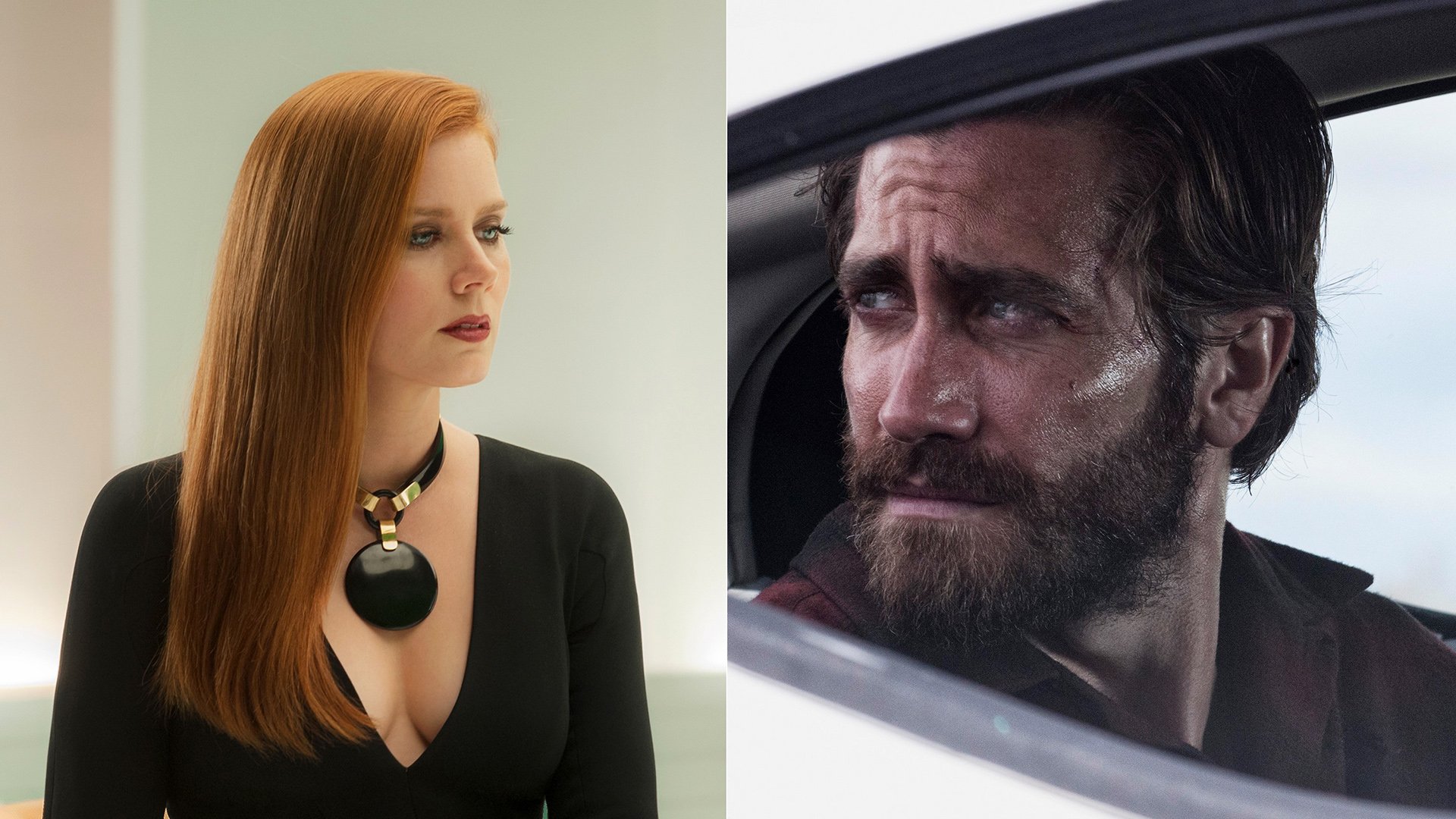 Download Amy Adams Jake Gyllenhaal Movie Nocturnal Animals HD Wallpaper