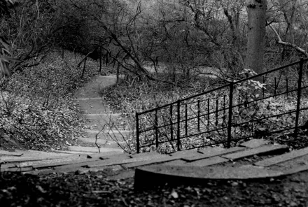 Black and white photography of a winding stone staircase and pathway through a quiet, leaf-strewn park with bare trees, captured as an HD PC desktop wallpaper.