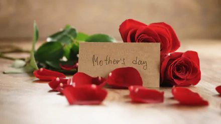 HD wallpaper featuring red roses and petals with a handwritten Mother's Day card, creating a warm holiday background.