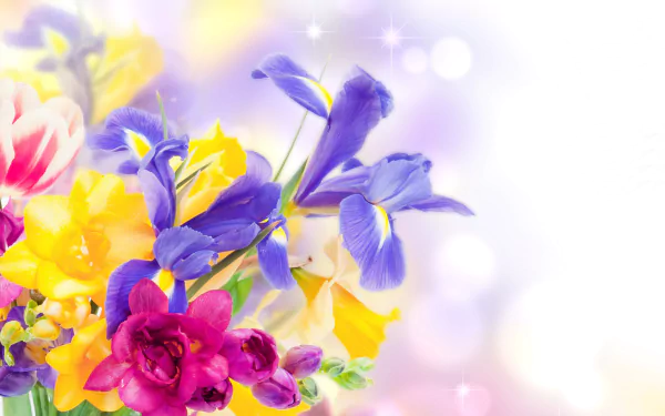 Vibrant bouquet of blue irises with pink and yellow flowers against soft bokeh — man-made floral arrangement, 5K Ultra HD PC desktop wallpaper background.