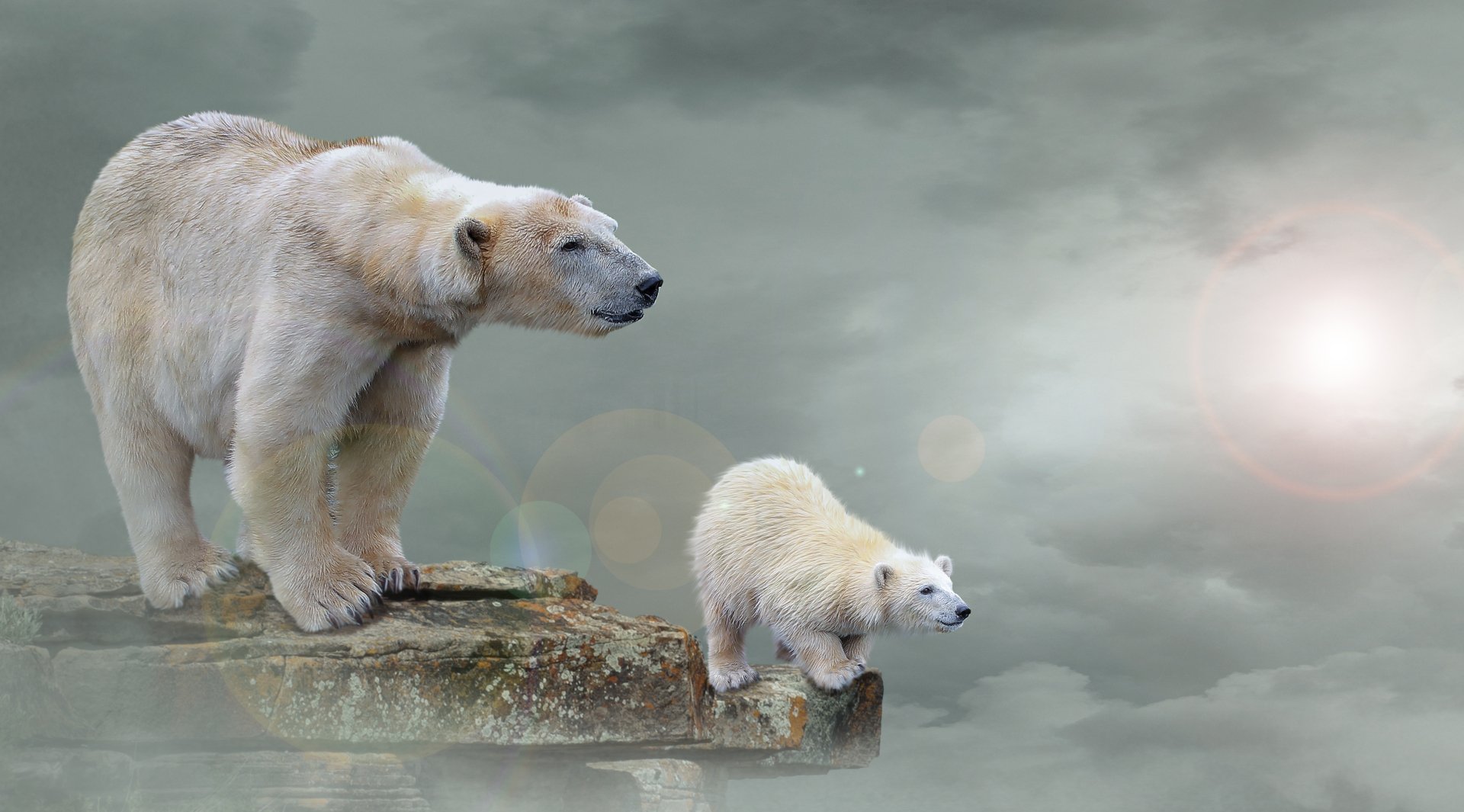 4K Ultra HD desktop wallpaper featuring a manipulated photography image of a polar bear and its cub standing on a rocky ledge against a cloudy sky background.