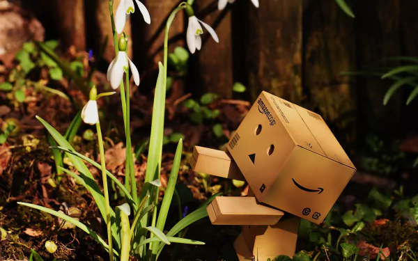 A Danbo figure in a natural setting reaches toward delicate white flowers, captured in crisp 4K Ultra HD for a vibrant PC desktop wallpaper.