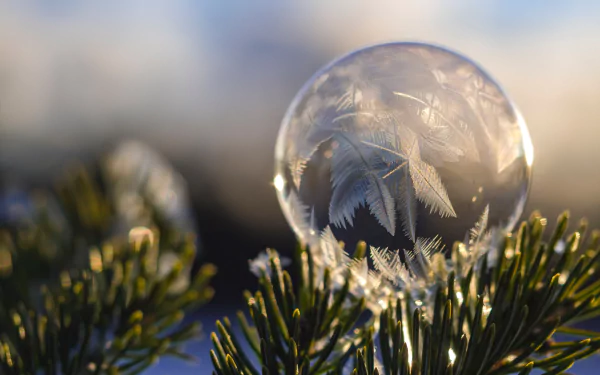 bubble frost close-up nature winter HD Desktop Wallpaper | Background Image