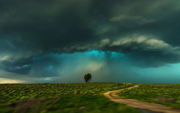 HD wallpaper showing a dramatic landscape with a lonely tree near a winding dirt road under an ominous, cloud-filled sky.