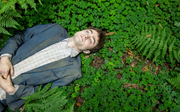 Daniel Radcliffe movie Swiss Army Man HD Desktop Wallpaper | Background Image