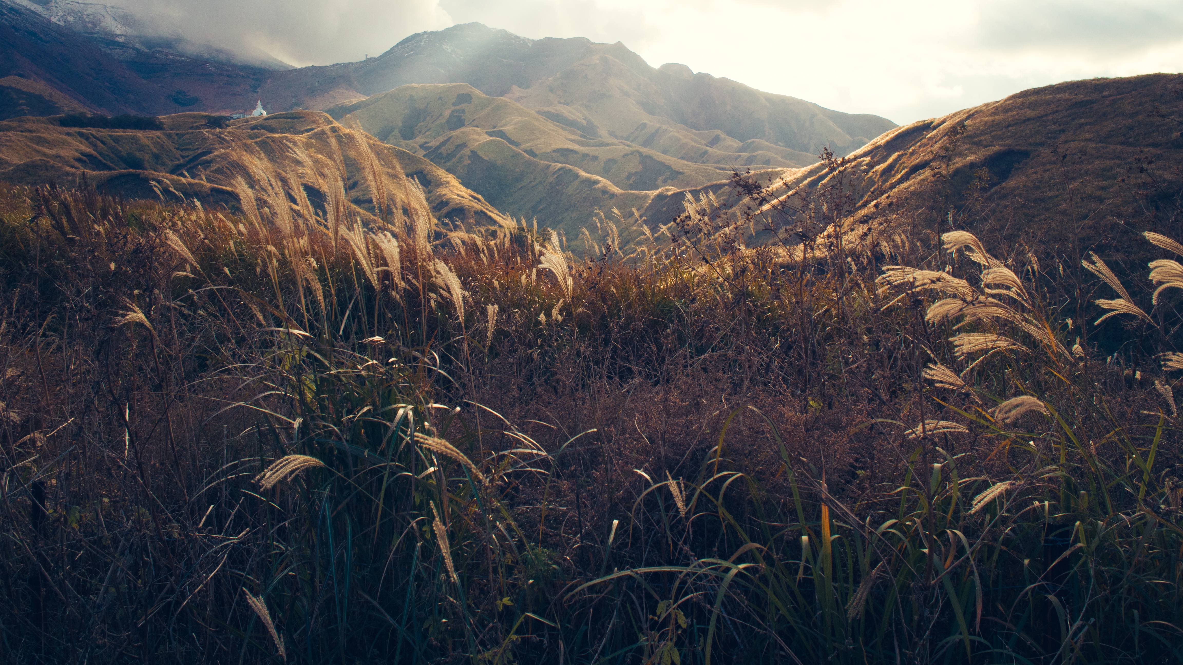 Download Nature Grass Sunbeam Mountain Photography Landscape 4k Ultra ...