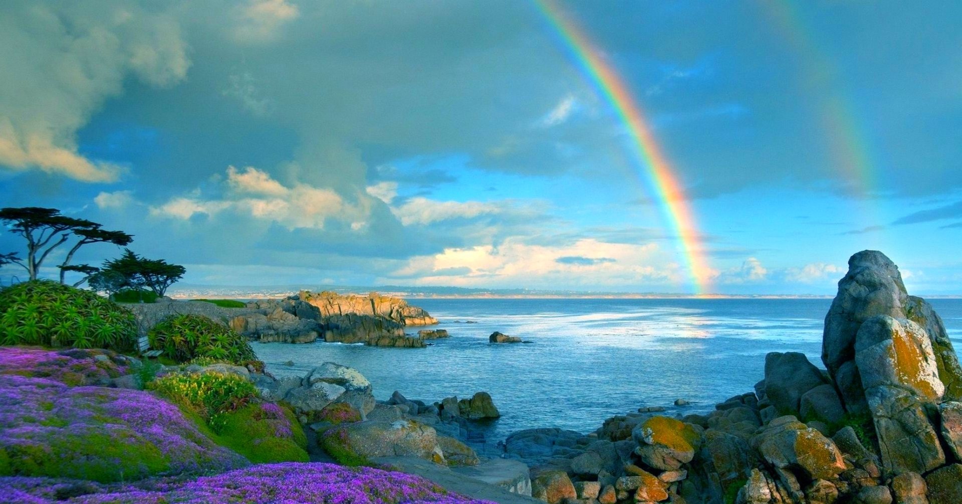 Download Flower Sea Ocean Coastline Coast Sky Colors Nature Rainbow HD ...