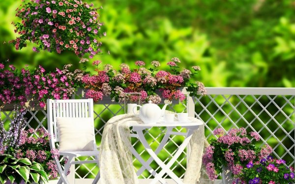 Photography Still Life Porch Chair Plant Flower Blossom Spring Pink Flower HD Wallpaper | Background Image
