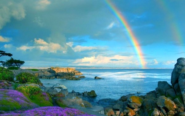 Earth Rainbow Colors Sky Coast Coastline Ocean Sea Flower HD Wallpaper | Background Image
