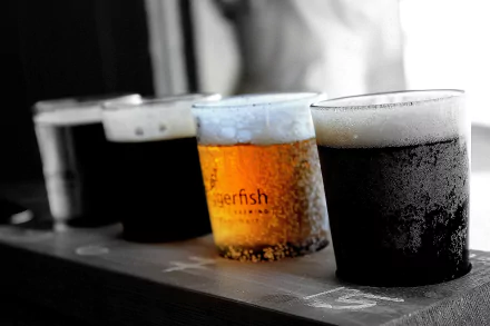 food beer HD Desktop Wallpaper | Background Image