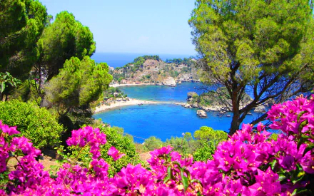 Vivid pink flowers frame pine trees overlooking the turquoise ocean and sunlit Sicilian coastline — HD desktop wallpaper photography of Italy's earth and sea.
