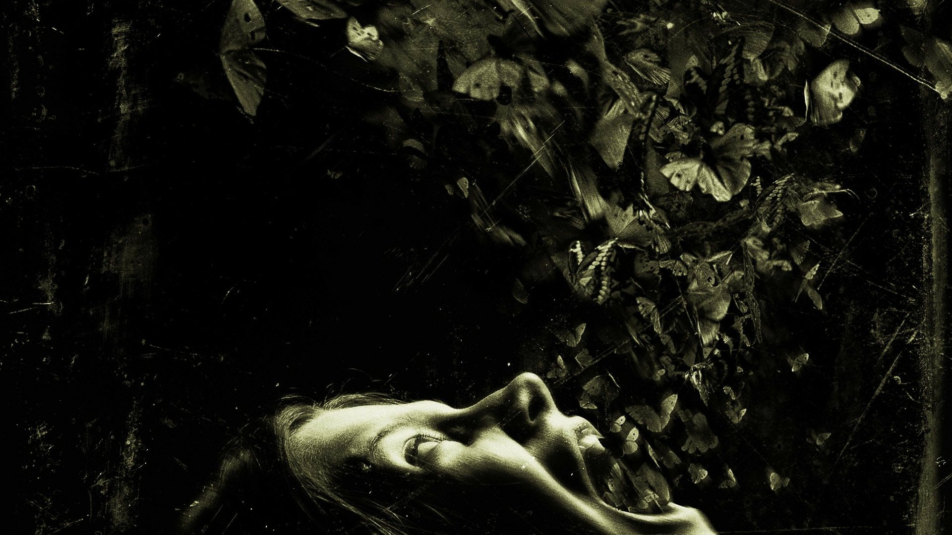 Download Movie The Possession HD Wallpaper