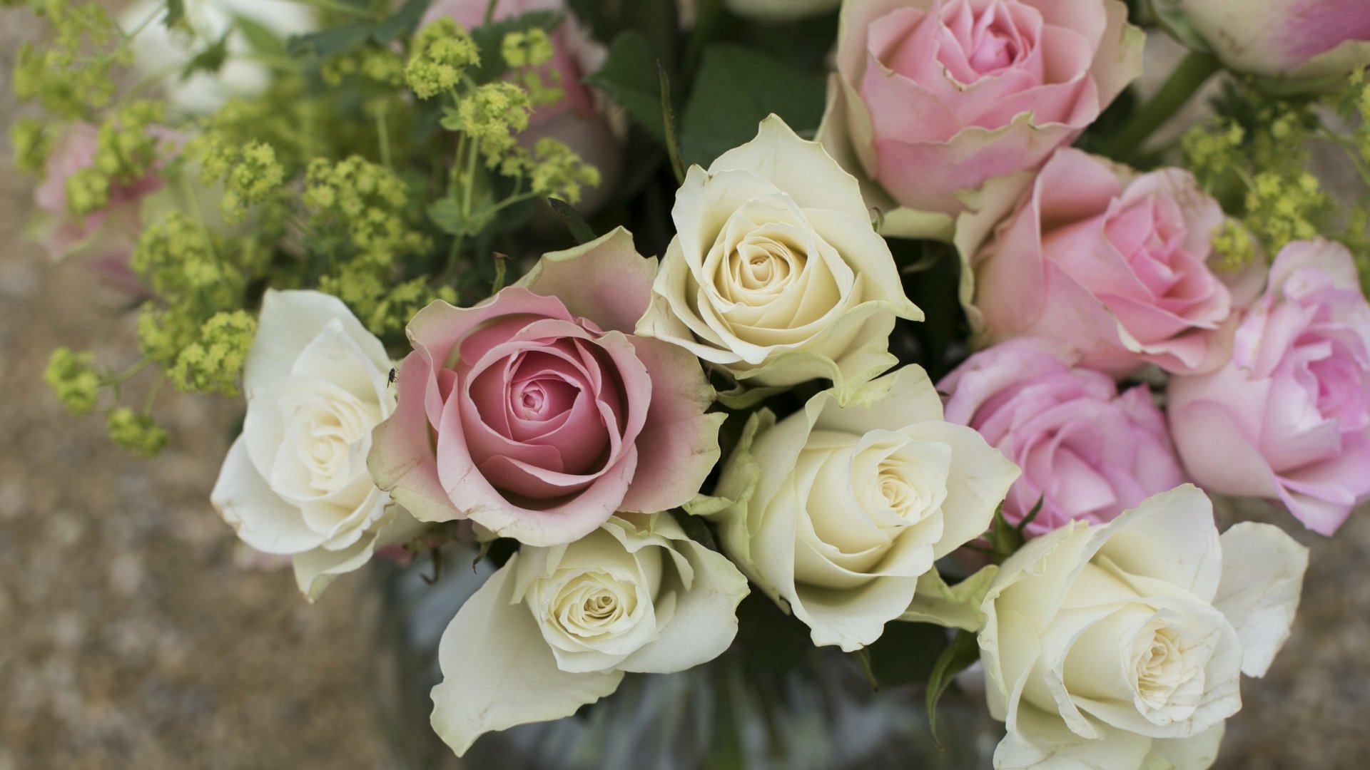 Close-up of pink and white roses with green foliage, soft petals in a delicate bouquet — 4K Ultra HD PC desktop wallpaper.
