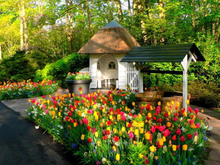Colorful tulips in full bloom surround a picturesque well and small house in Keukenhof Park, Amsterdam, Netherlands. This HD desktop wallpaper captures the essence of spring and vibrant photography.