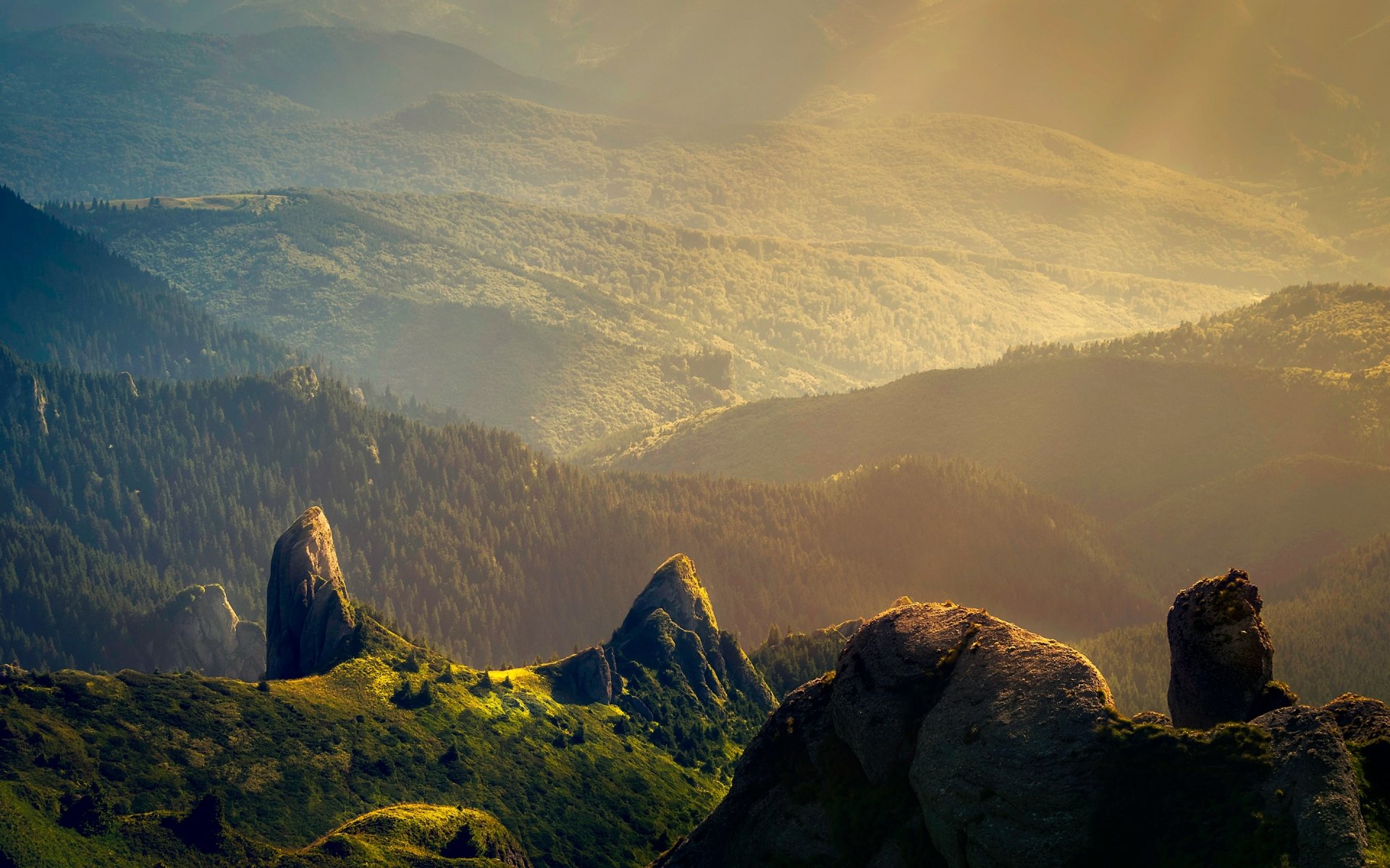 2K Quad HD PC desktop wallpaper: golden sunbeams pierce a misty forested mountain landscape, illuminating rocky outcrops and rolling green ridges vanishing into hazy valleys.